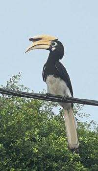 70c96eee-4d2b-4efe-9390-38afb9a5893e